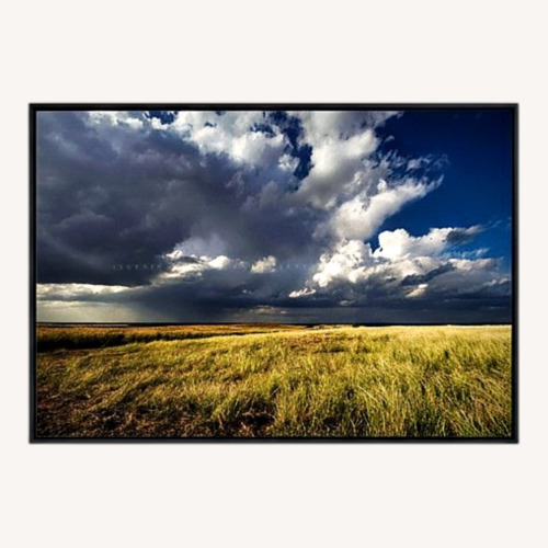 Used Storm Clouds Picture Wall Art for sale on AptDeco