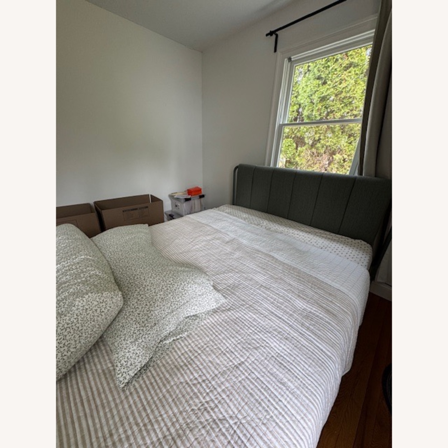 IKEA TÄLLÅSEN Green Fabric Queen Bed - image-5