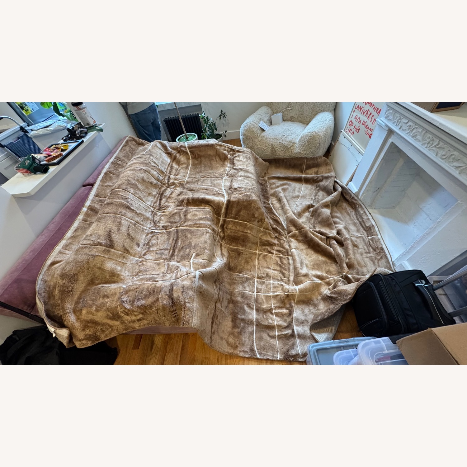 CB2 Hogan Rug Dark Brown Area Rug 9' x 12' - image-3