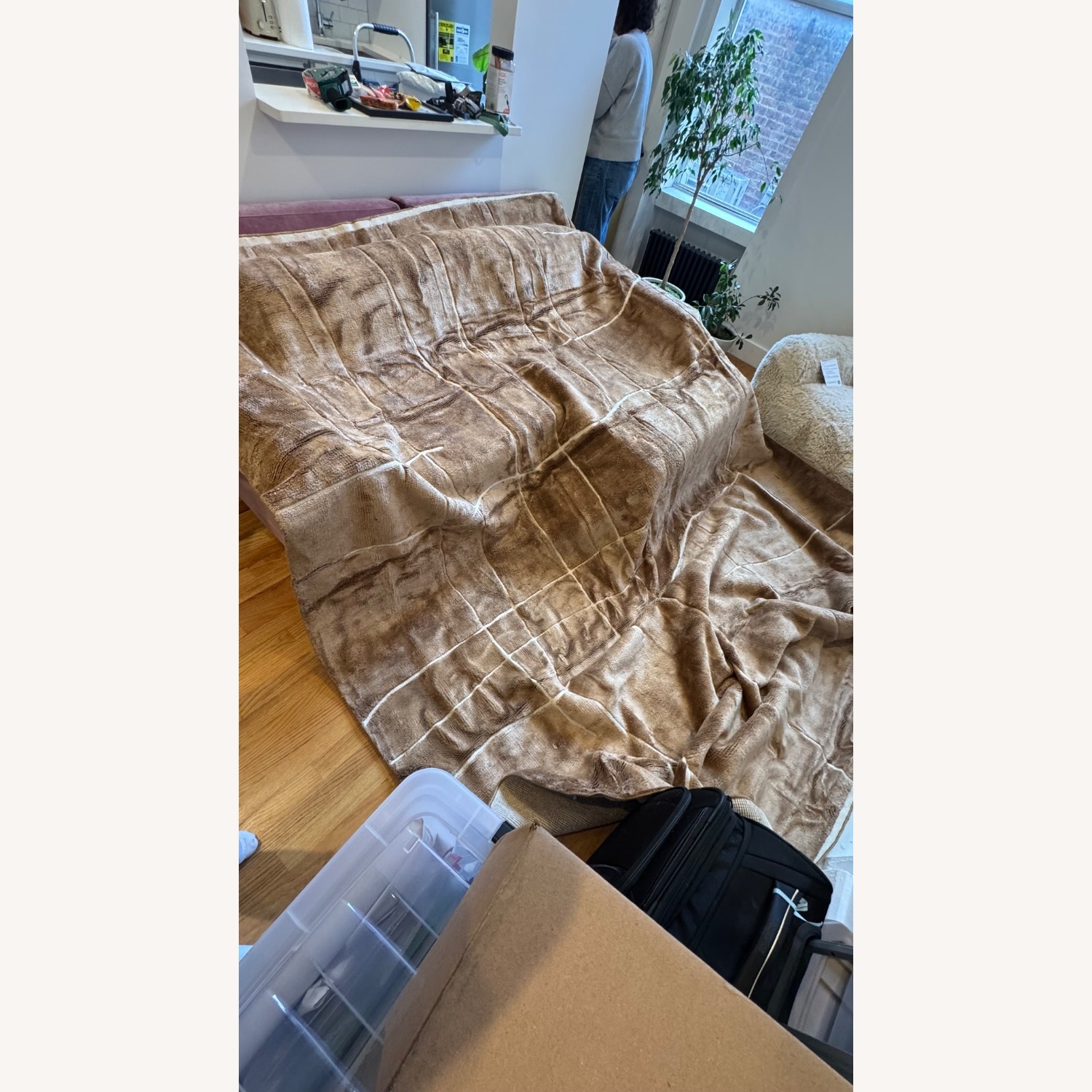 CB2 Hogan Rug Dark Brown Area Rug 9' x 12' - image-4