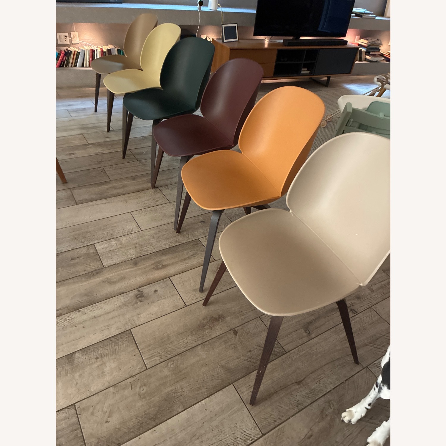 Gubi Beetle Shell Dining Chairs 6x w Smoked Oak - image-2