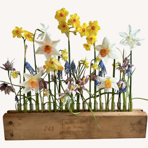 Used Vintage/Antique Cigar Press Flower Vase for sale on AptDeco