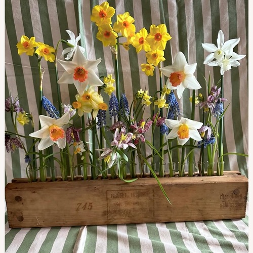 Used Vintage/Antique Cigar Press Flower Vase for sale on AptDeco