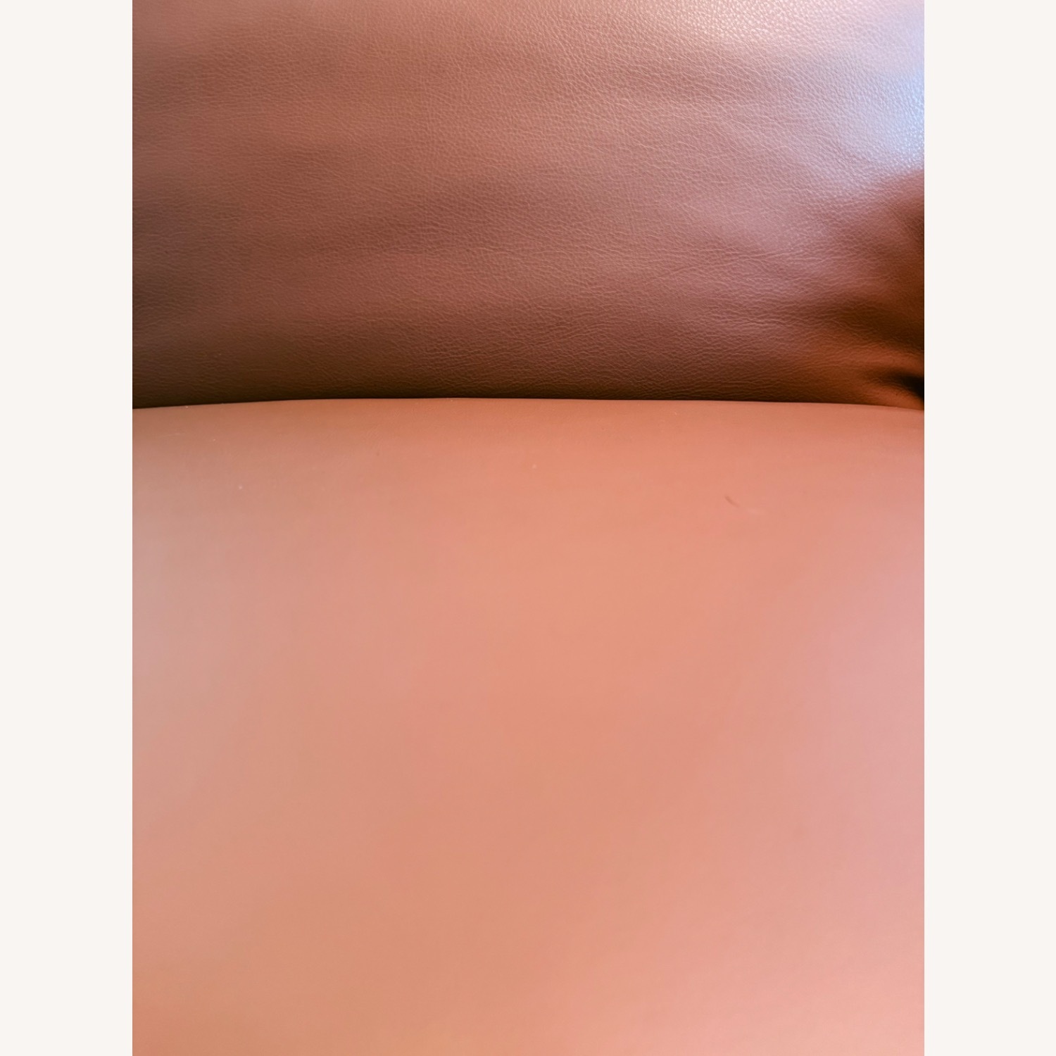 Herman Miller Pawson Light Brown Accent Chair - image-5