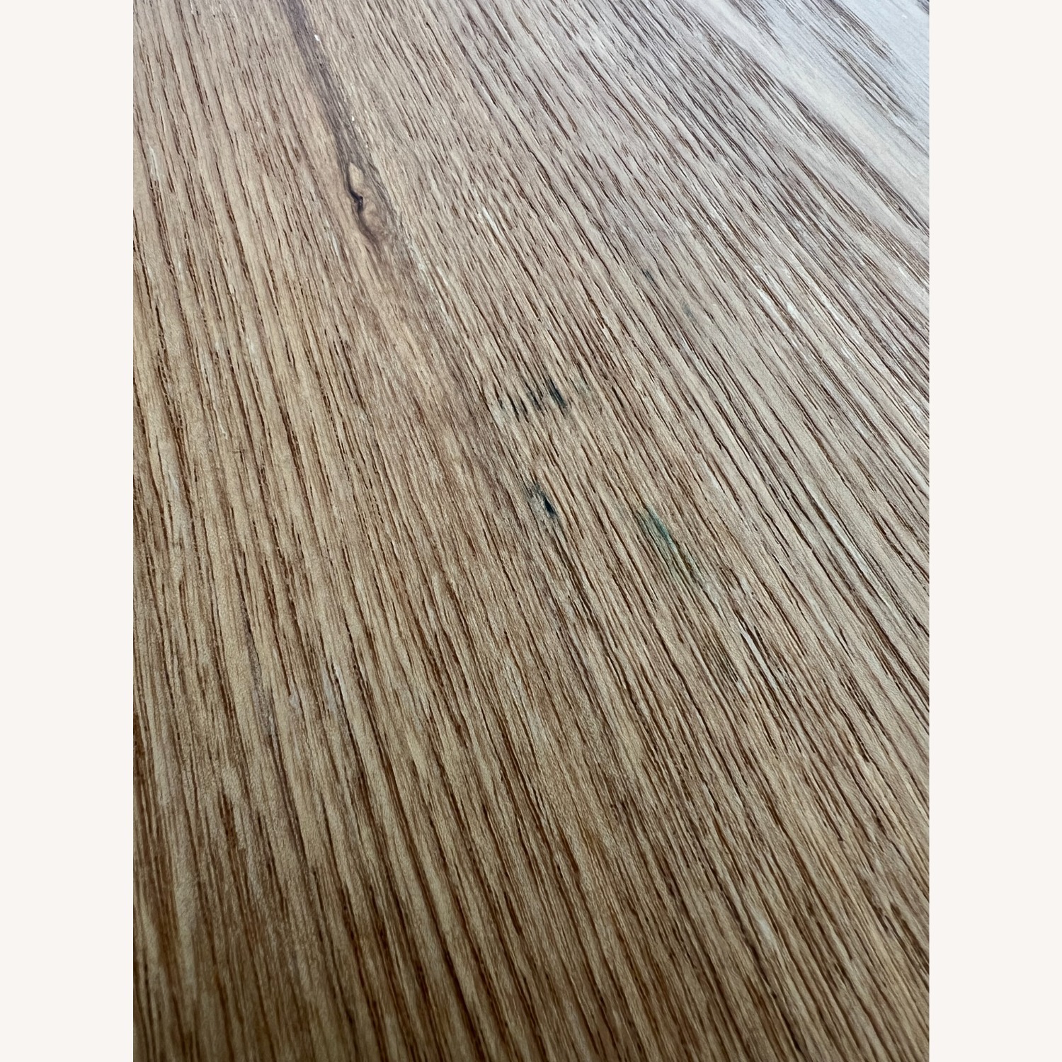 Eames Style Molded Plywood Coffee Table Ash Saucer - image-5