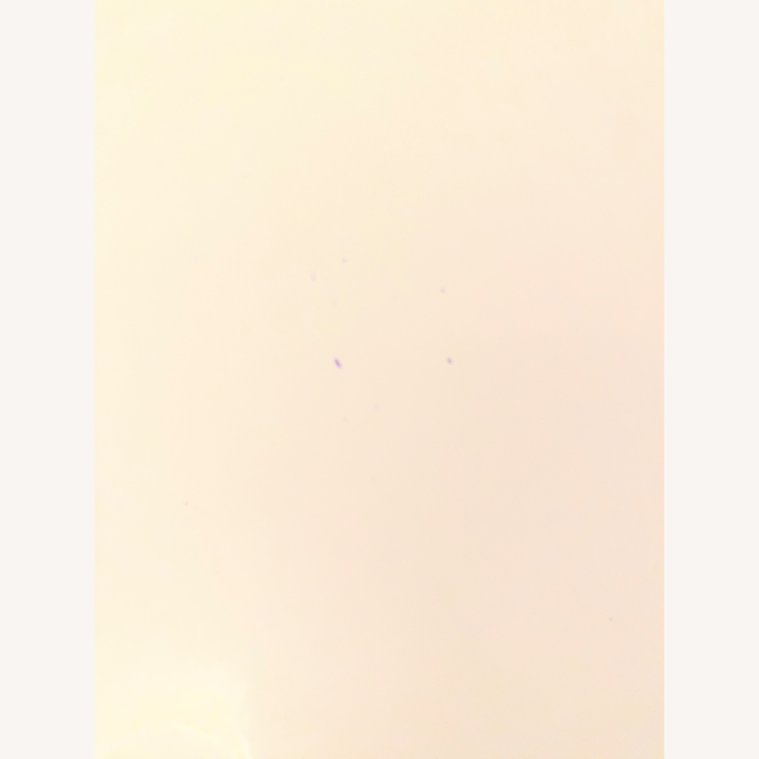 Modway Lippa White Dining Table - image-2