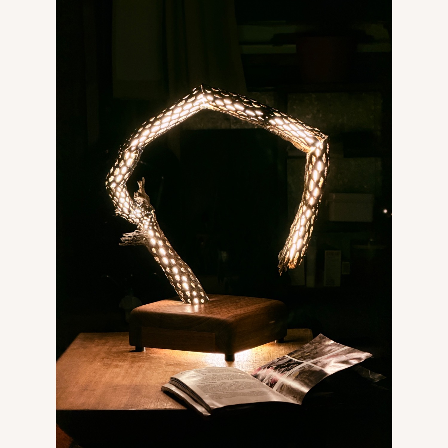 Handmade Cholla Lamp - image-5