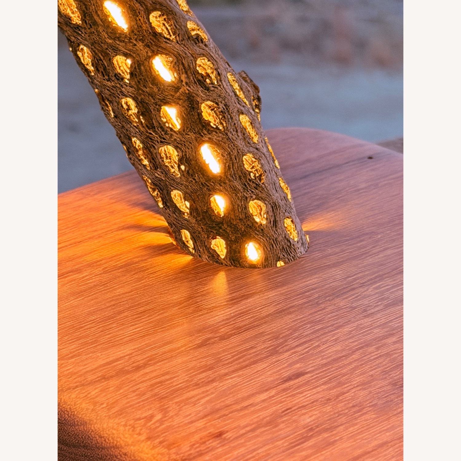 Handmade Cholla Lamp - image-6