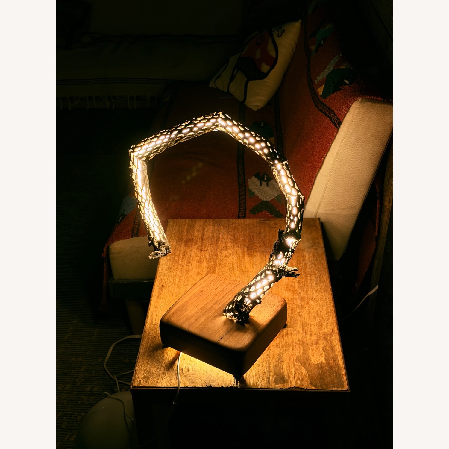 Handmade Cholla Lamp - image-3