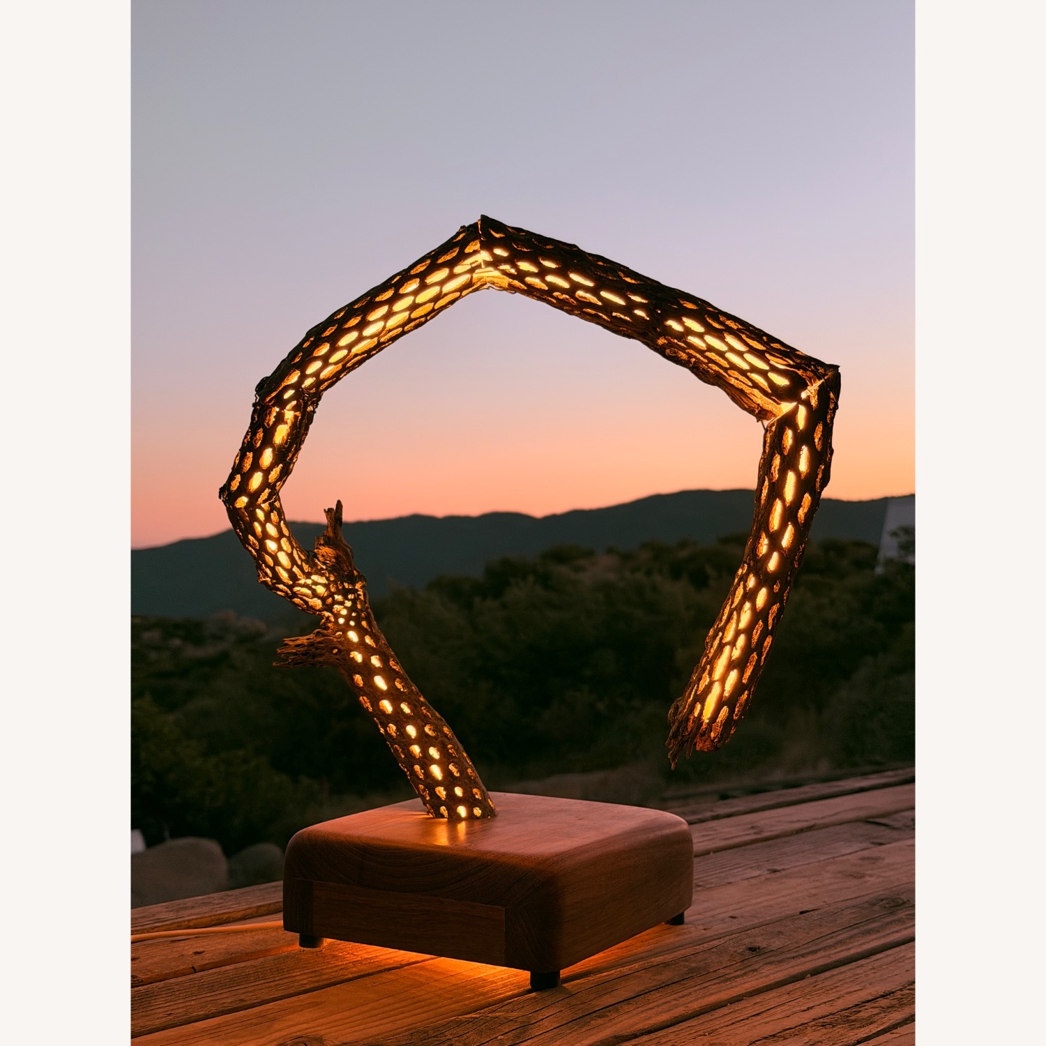 Handmade Cholla Lamp - image-1