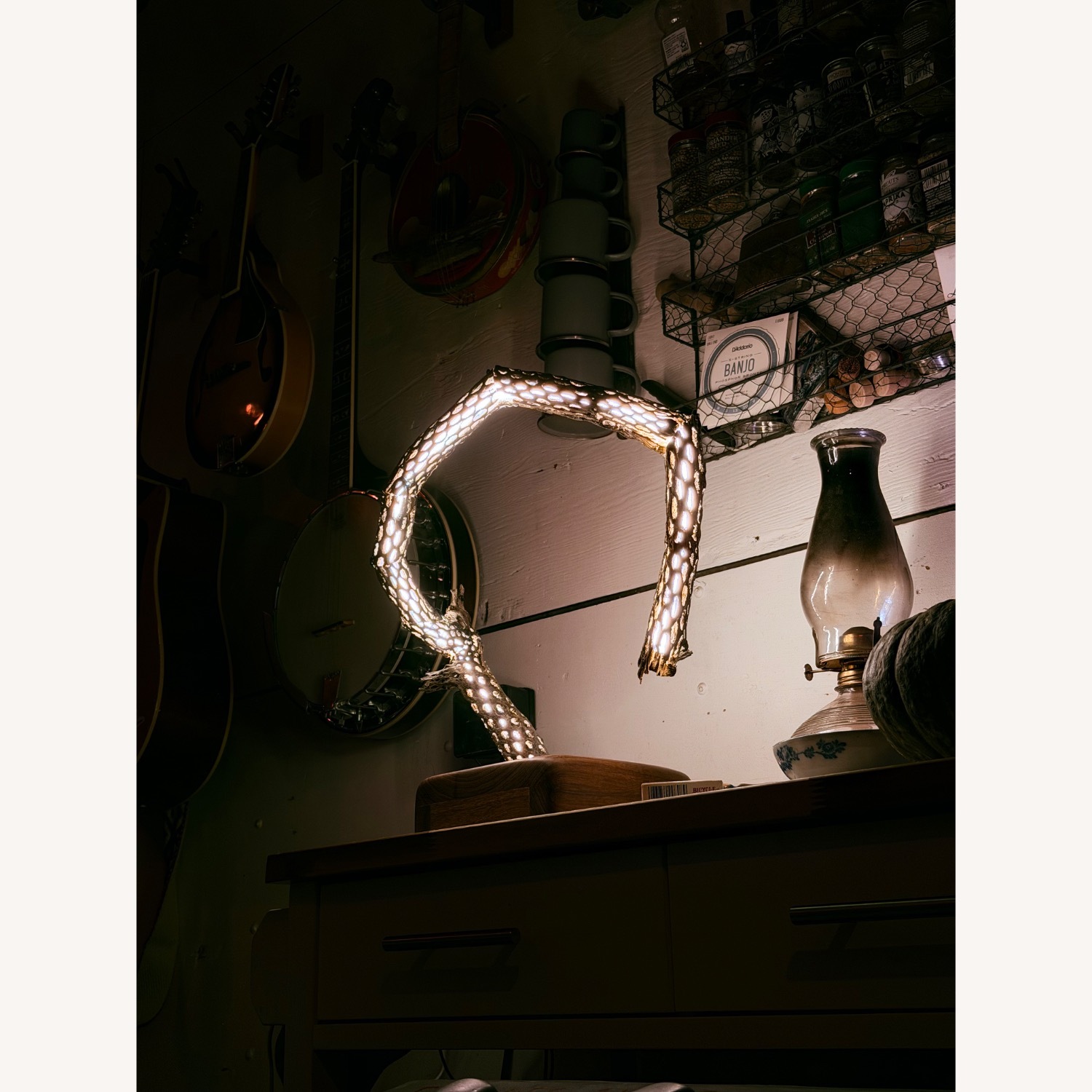 Handmade Cholla Lamp - image-2