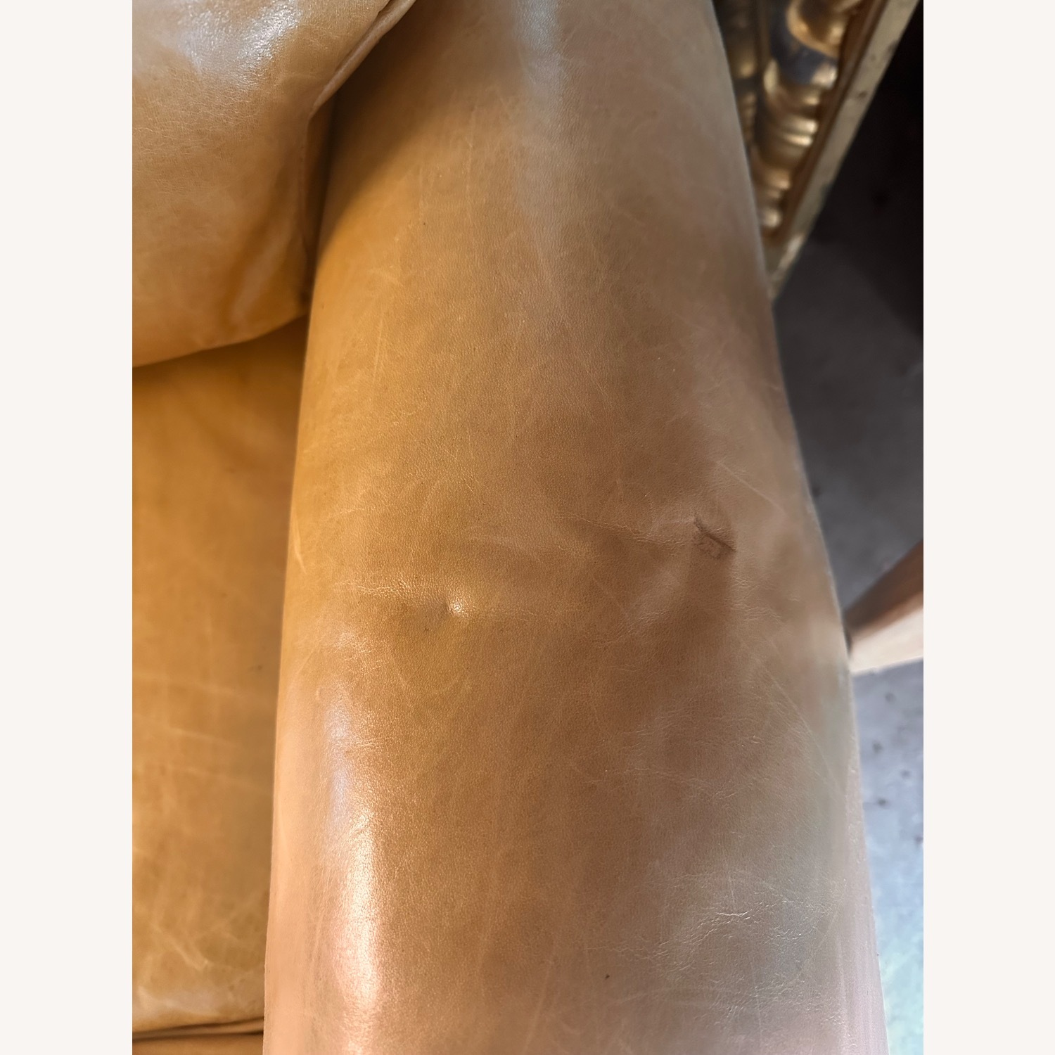 Anthropologie Rhys Safari Sofa  - image-3