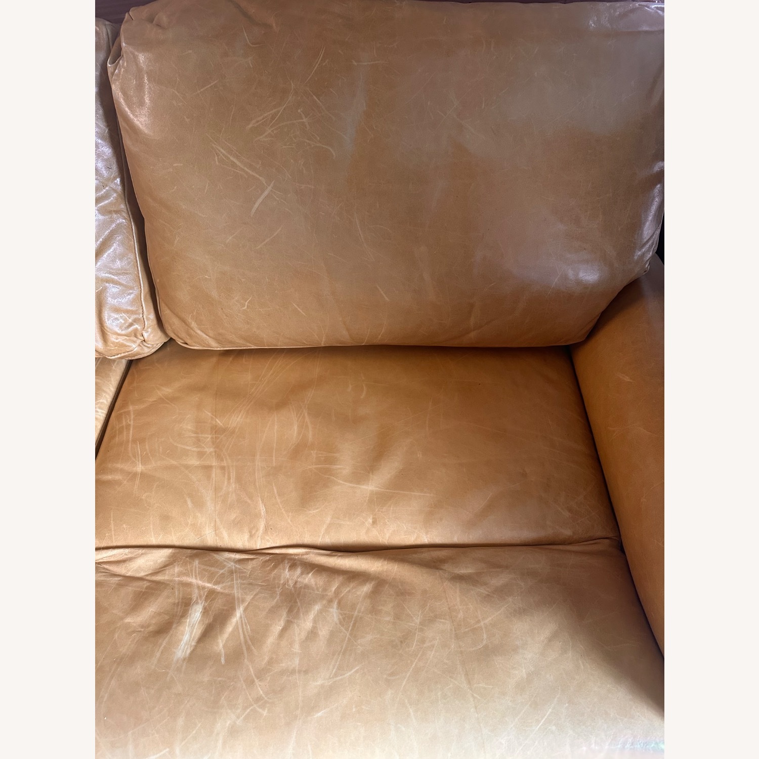 Anthropologie Rhys Safari Sofa  - image-4