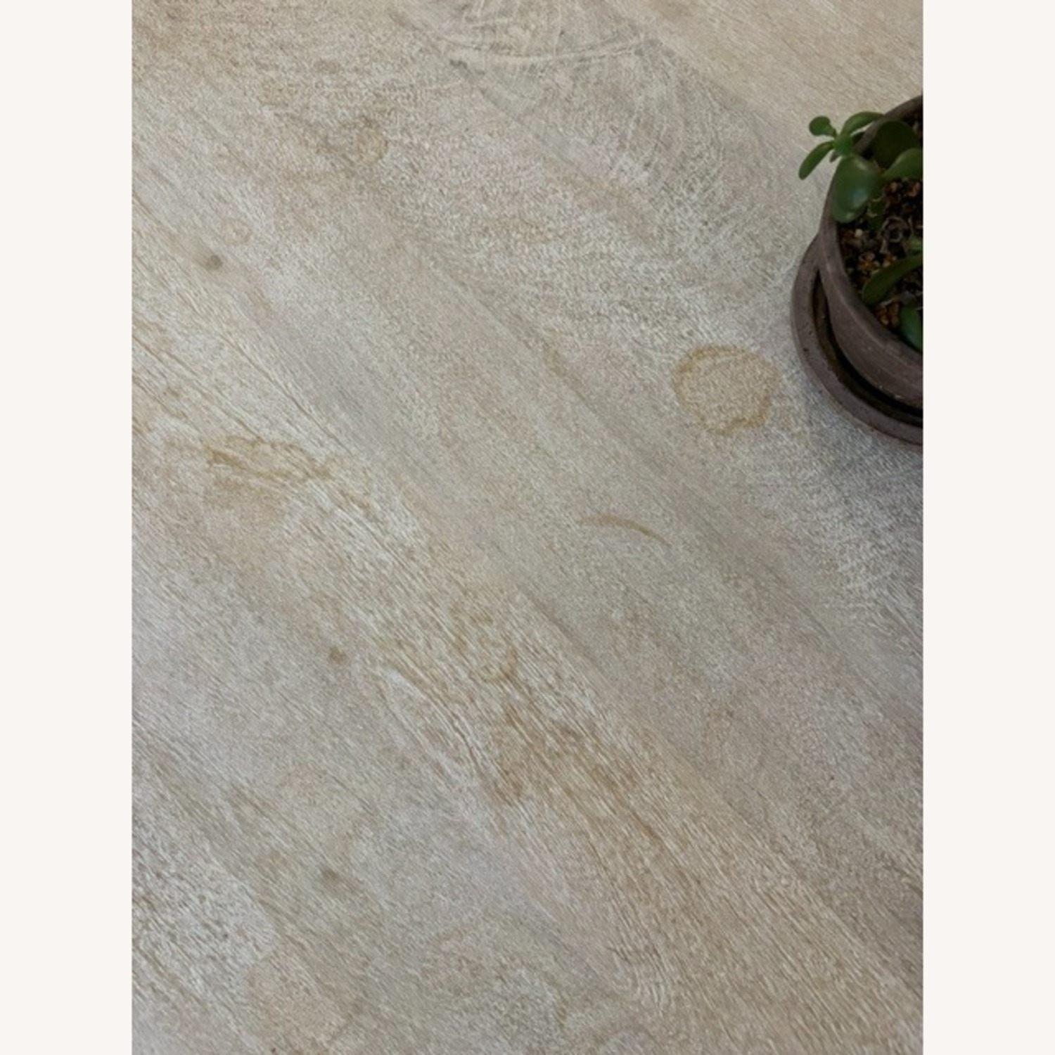 Joss & Main Columnia 40" Solid Wood Round Coffee Table - image-7