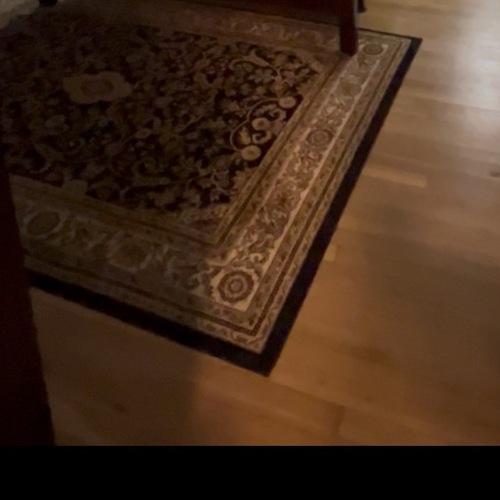 Used Black Color Area Rug for sale on AptDeco