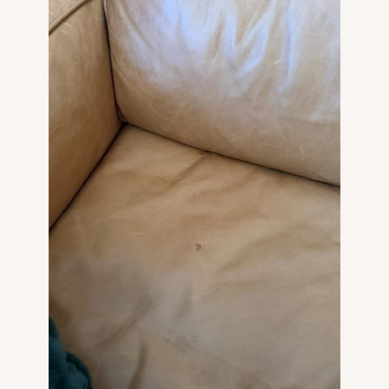 West Elm Zander 90" Sofa in Tan Charme Leather  - image-5