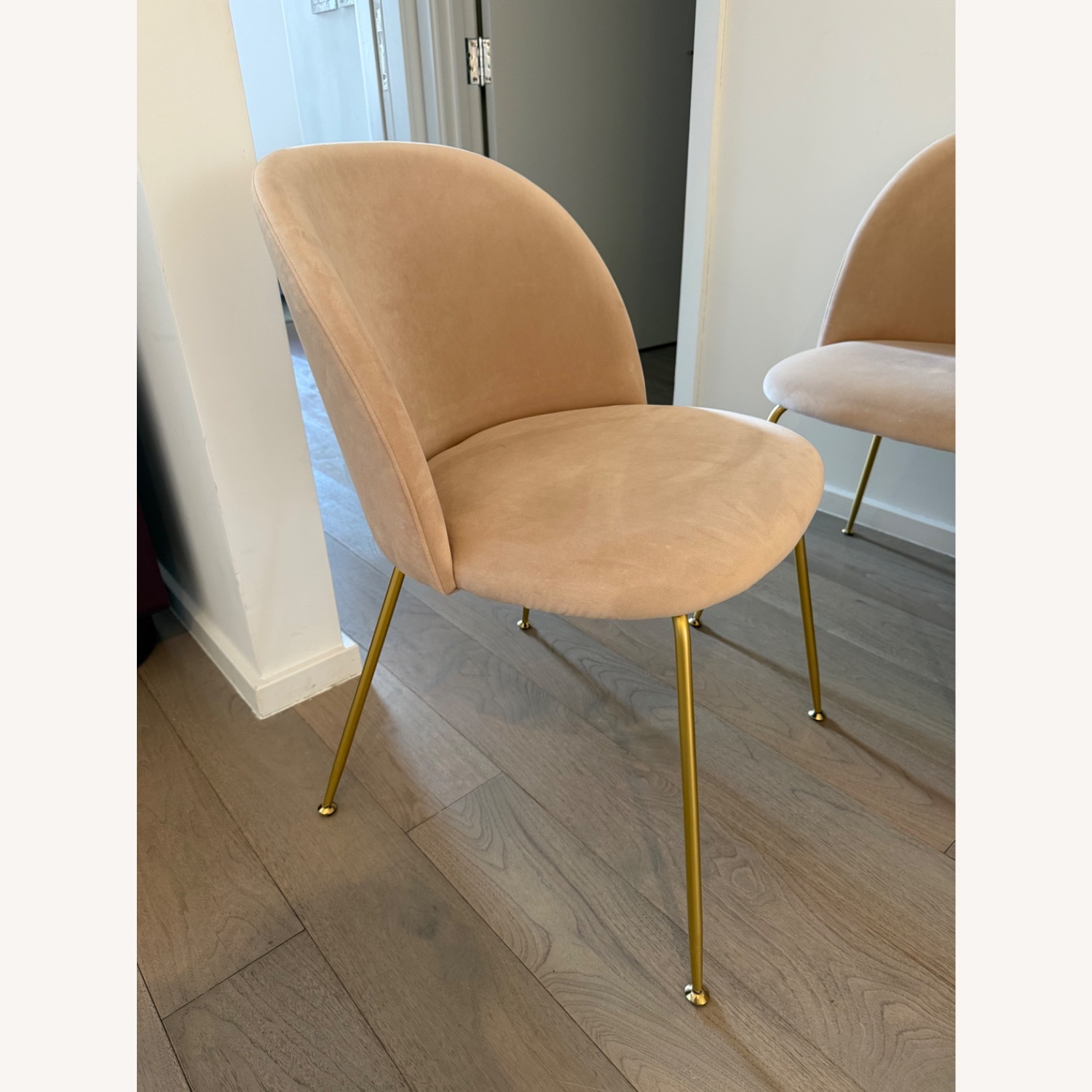 Rove Concepts Iris Pink Velvet Dining Chairs - image-2