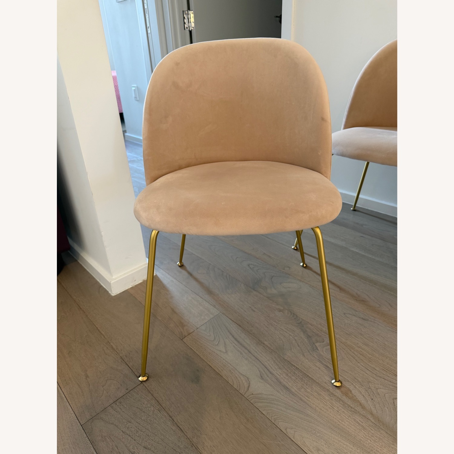 Rove Concepts Iris Pink Velvet Dining Chairs - image-4