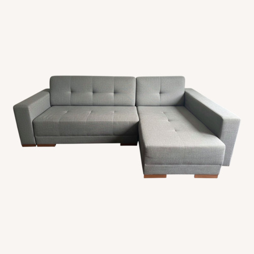 Used Lazzoni Light Gray Sleeper Sofa for sale on AptDeco