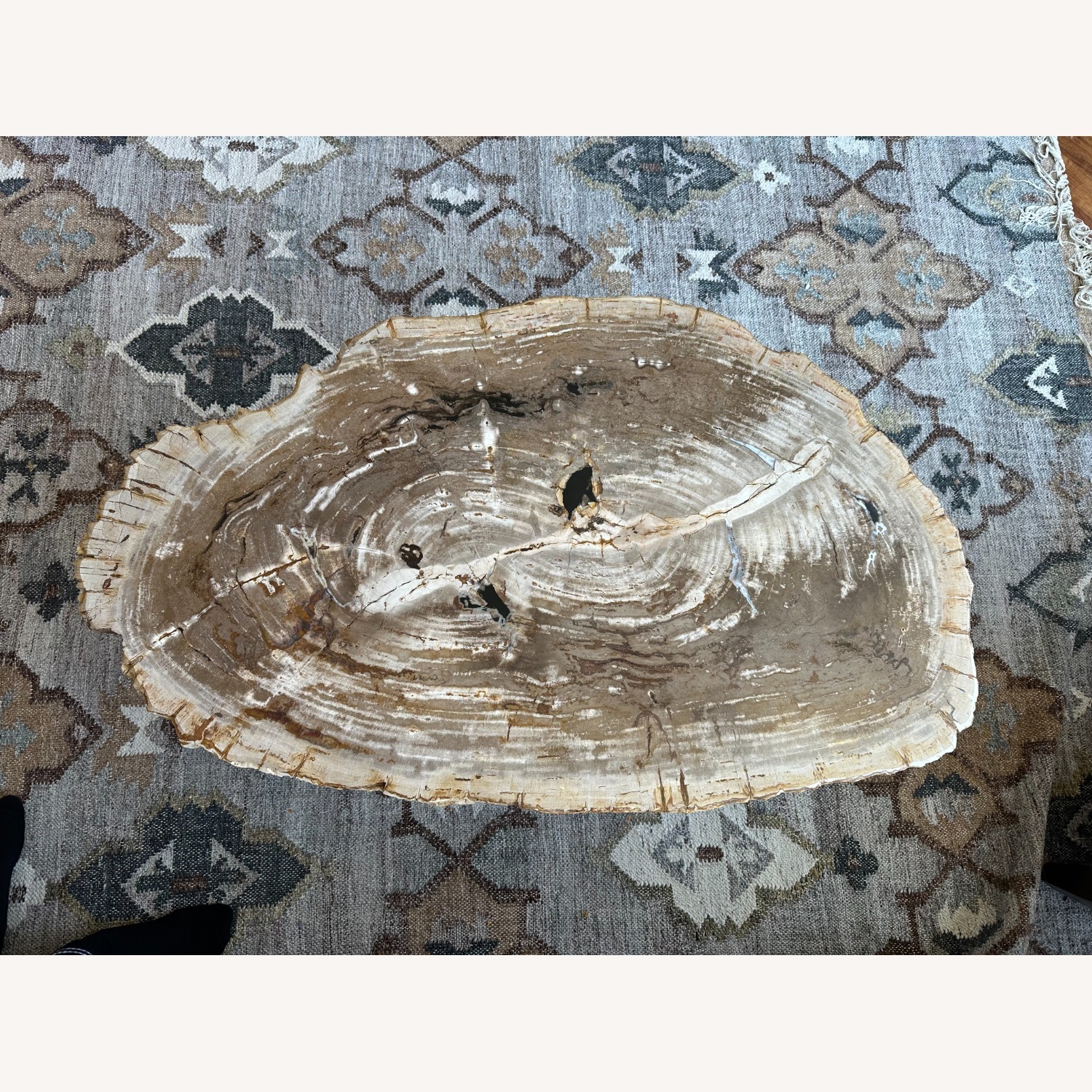 Arhaus Terra Petrified Wood Coffee Table - image-5