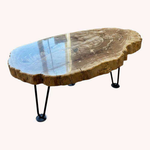 Used Arhaus Terra Petrified Wood Coffee Table for sale on AptDeco