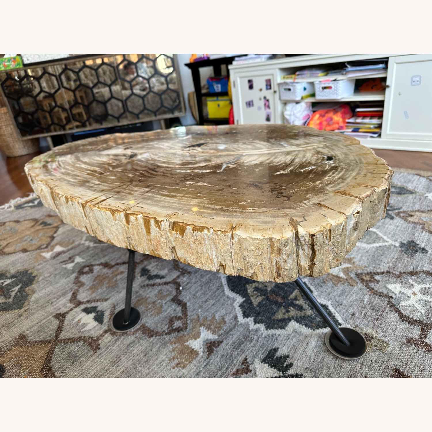 Arhaus Terra Petrified Wood Coffee Table - image-3