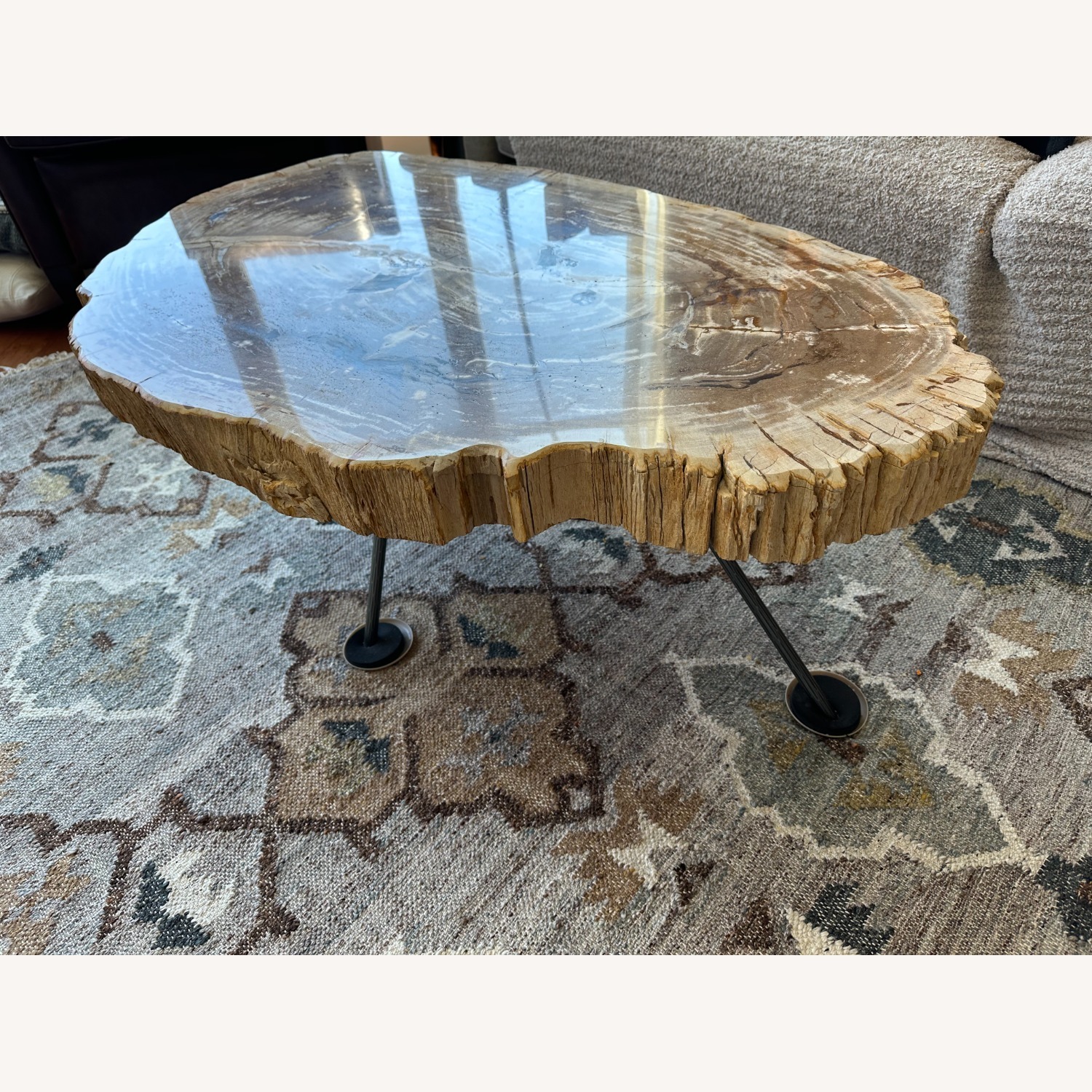 Arhaus Terra Petrified Wood Coffee Table - image-7