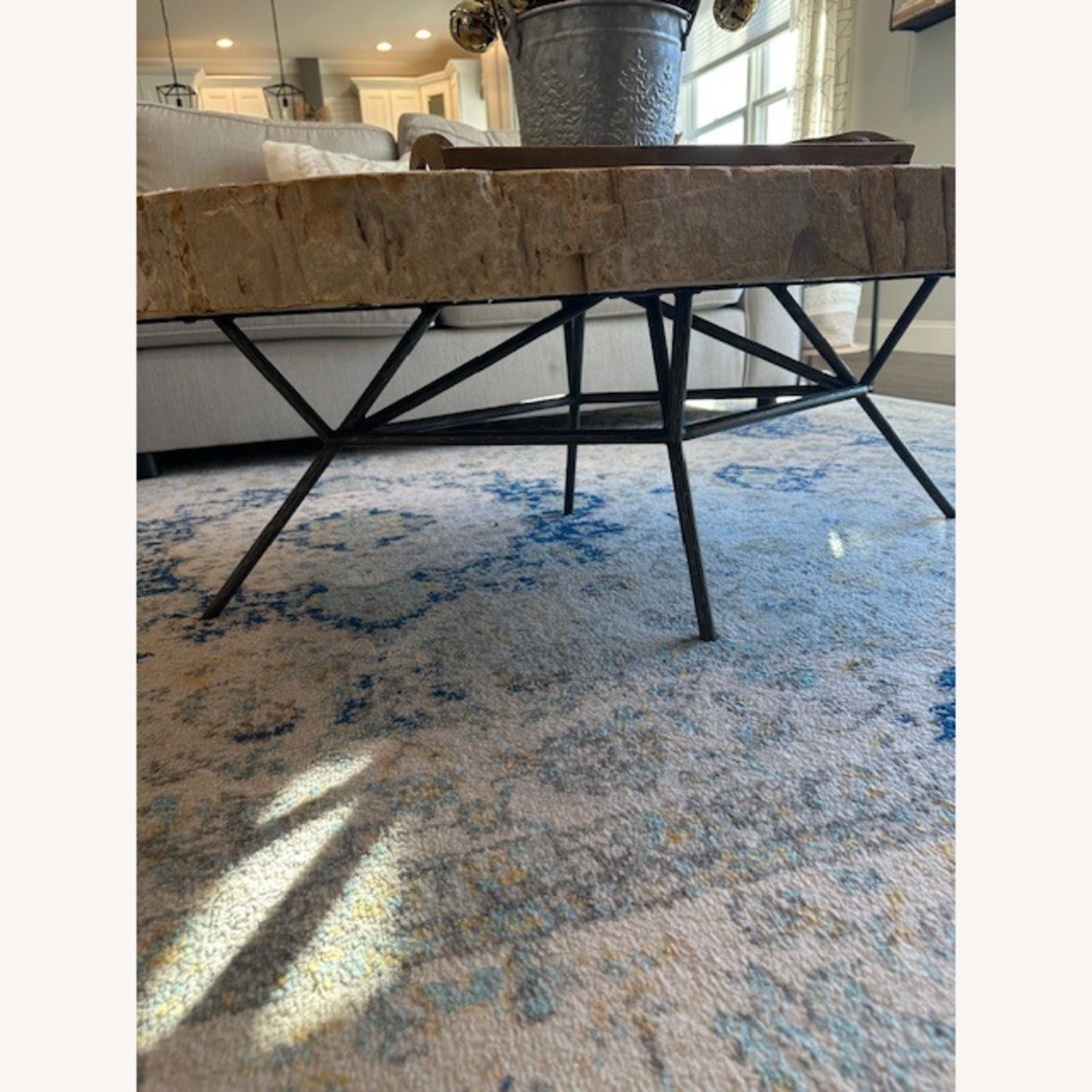 Arhaus Terra Petrified Wood Coffee Table - image-9