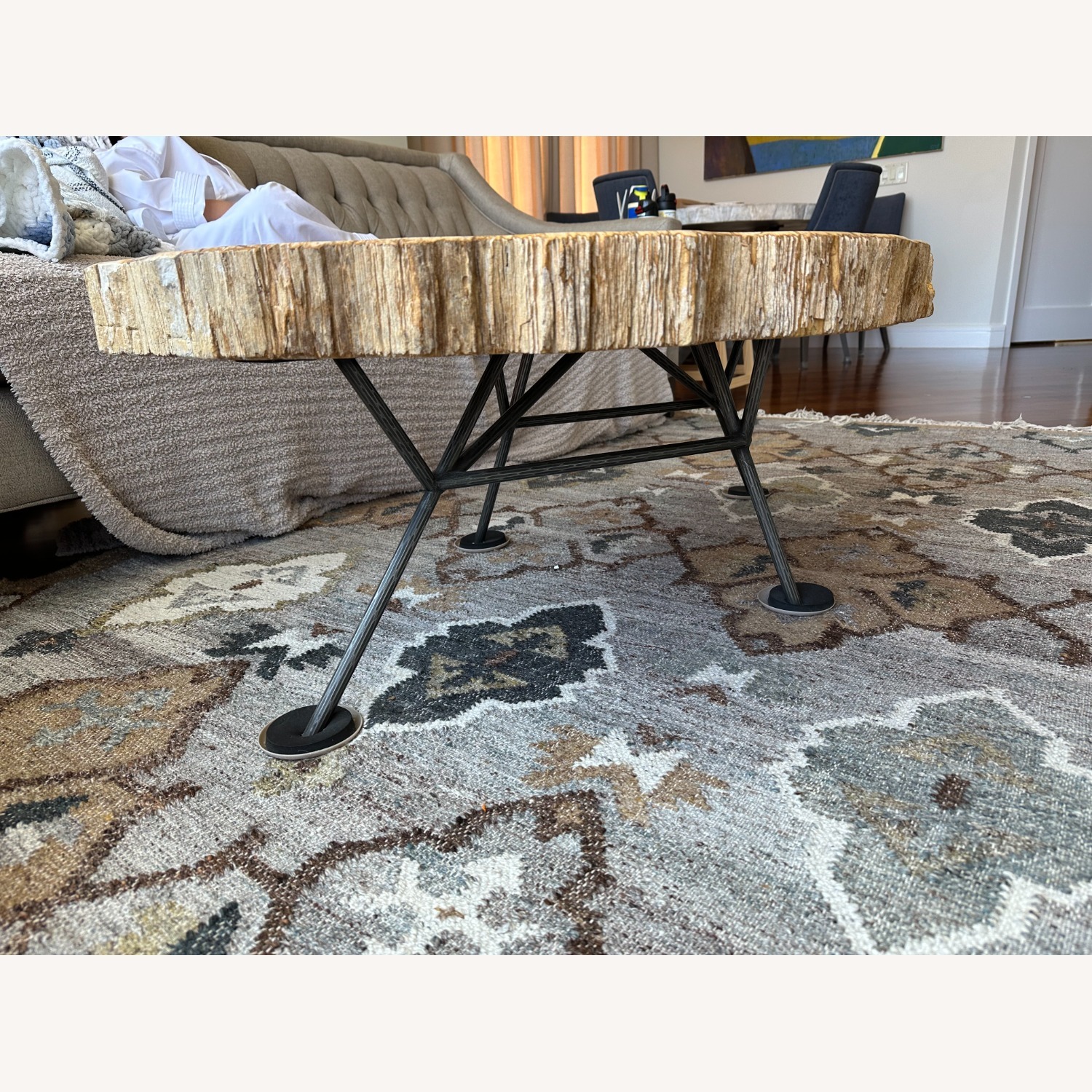 Arhaus Terra Petrified Wood Coffee Table - image-6