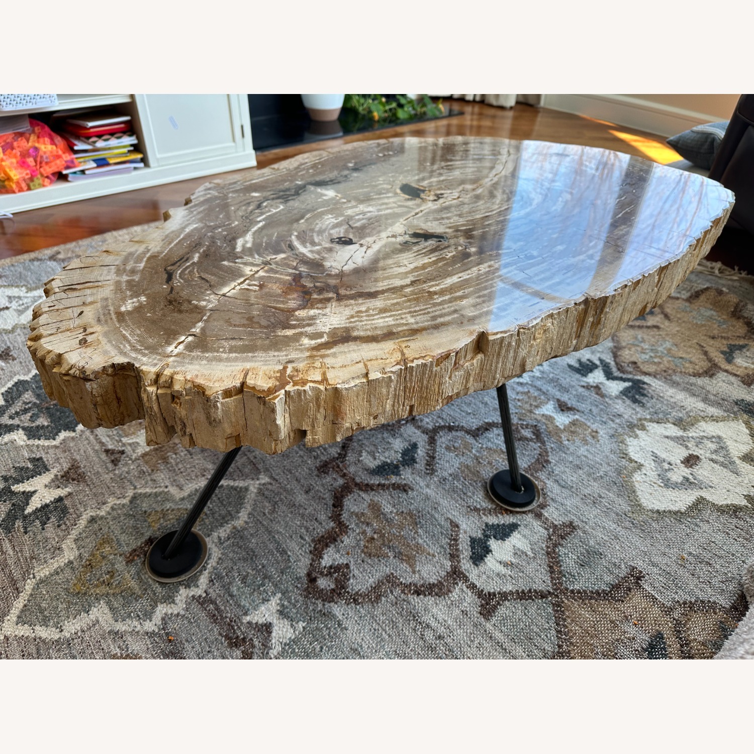 Arhaus Terra Petrified Wood Coffee Table - image-4