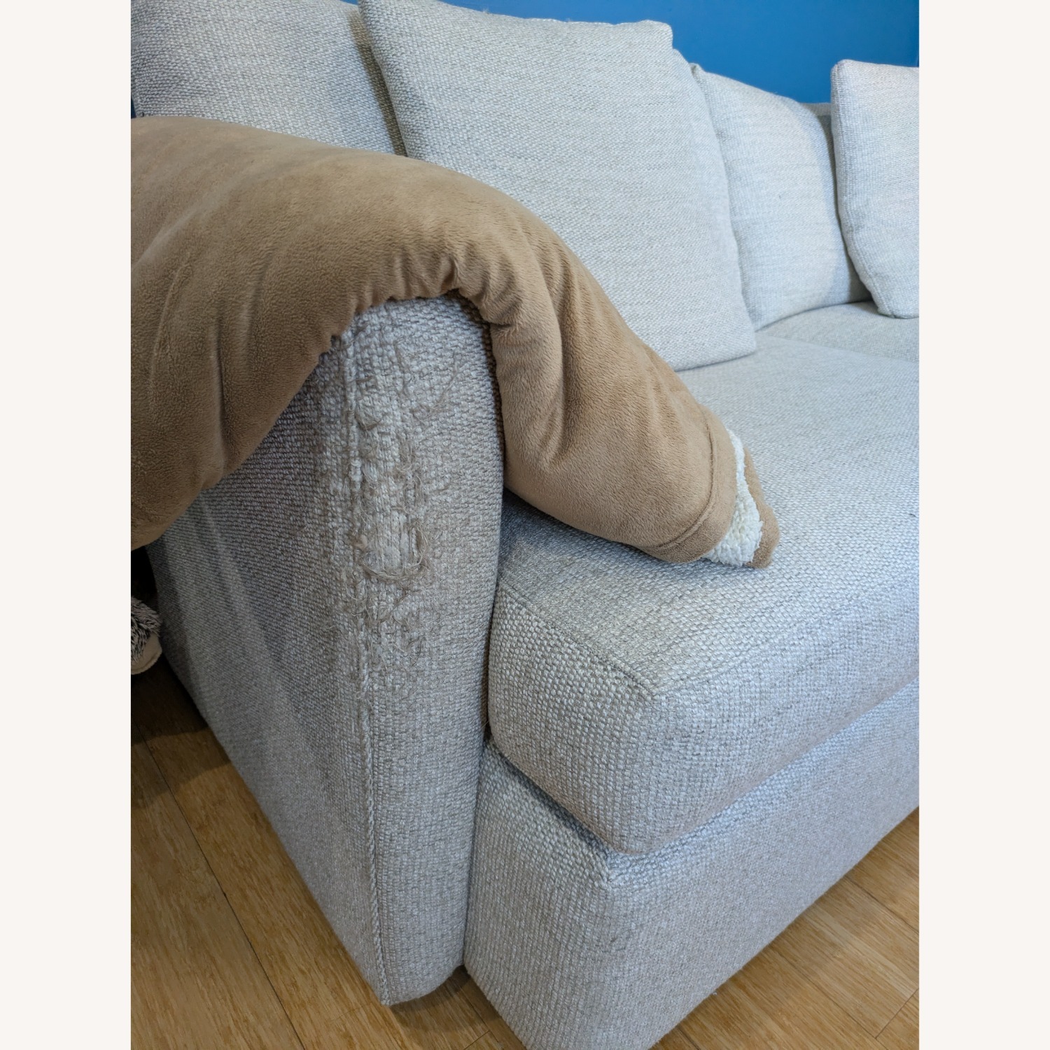 Crate & Barrel Lounge Natural Fabric 2 Seater Sofa - image-1