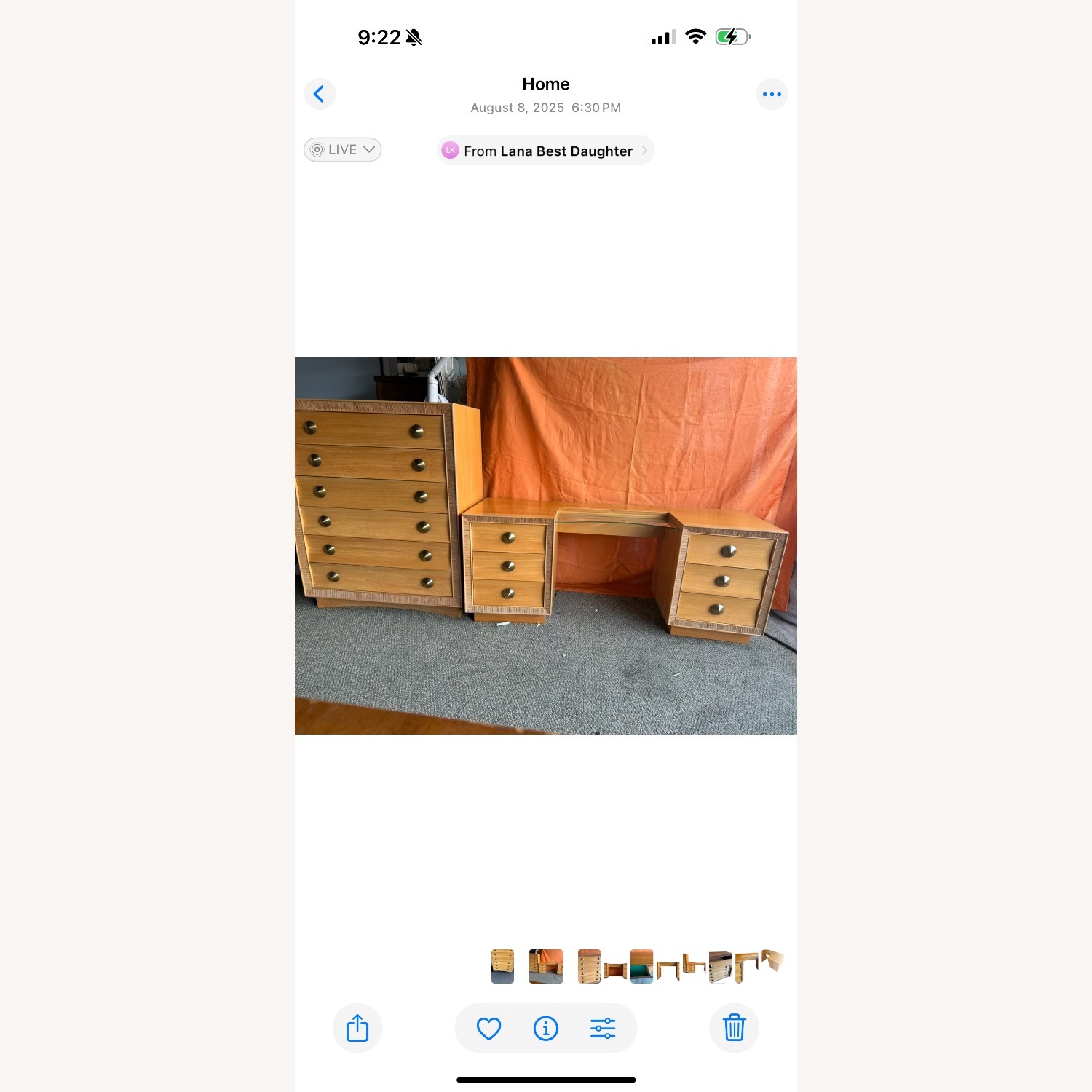 Paul Frank Dresser - image-3