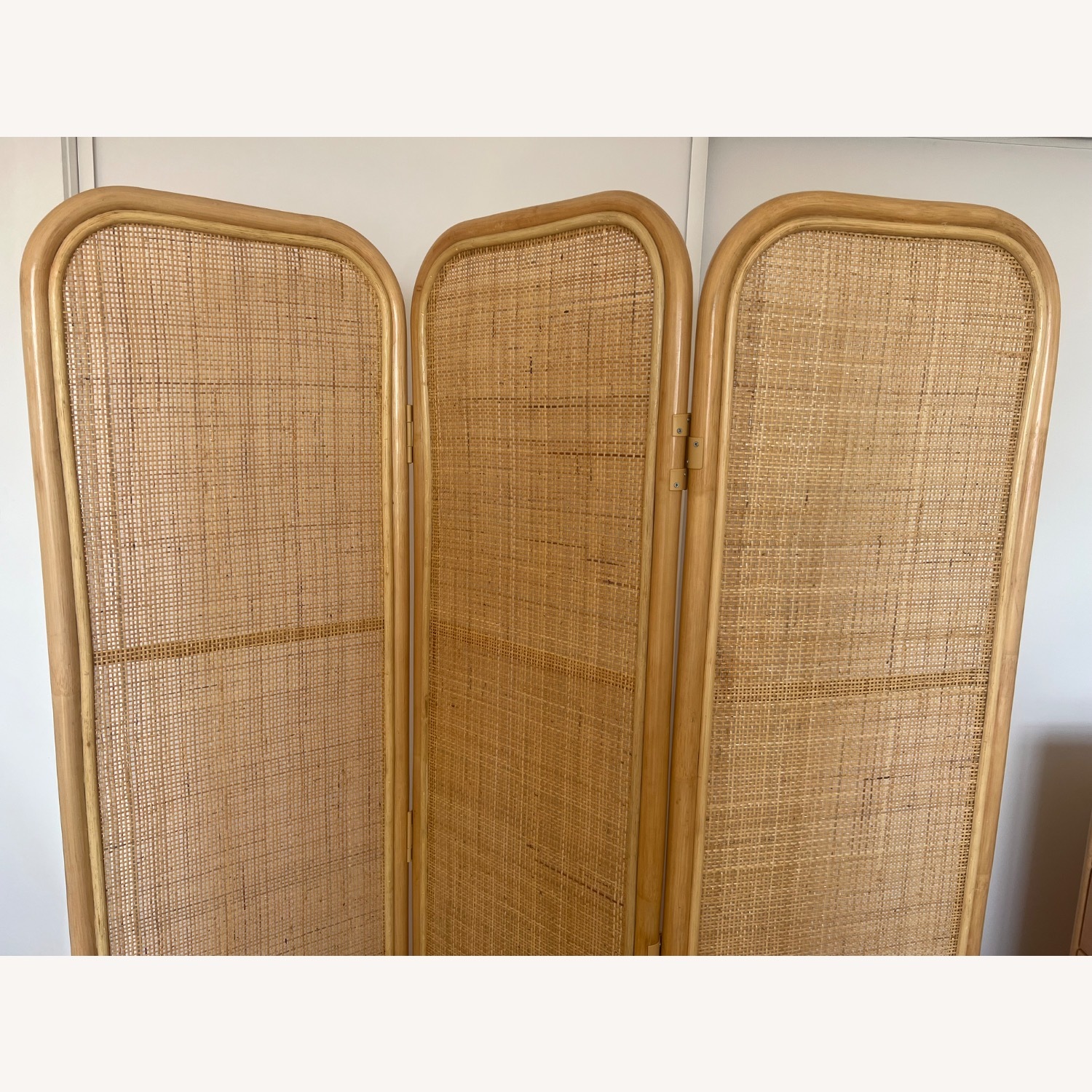 West Elm Zeze Rattan 3-Panel Room Divider  - image-4
