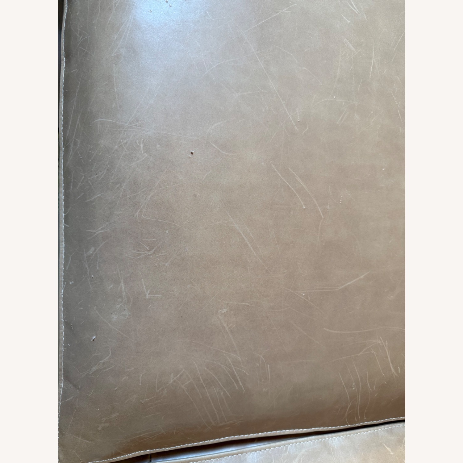 Crate & Barrel Axis Light Brown Leather Sleeper Sofa - image-7