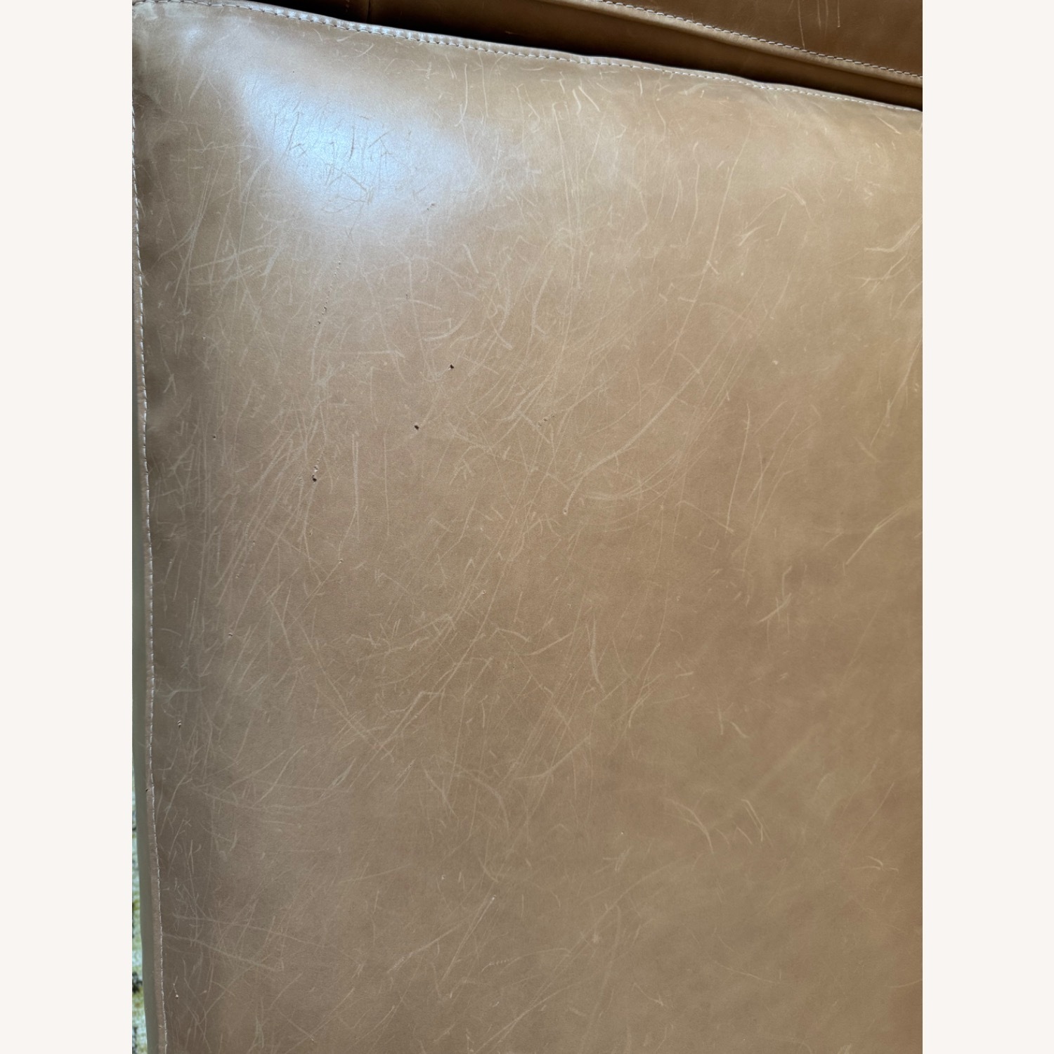 Crate & Barrel Axis Light Brown Leather Sleeper Sofa - image-8