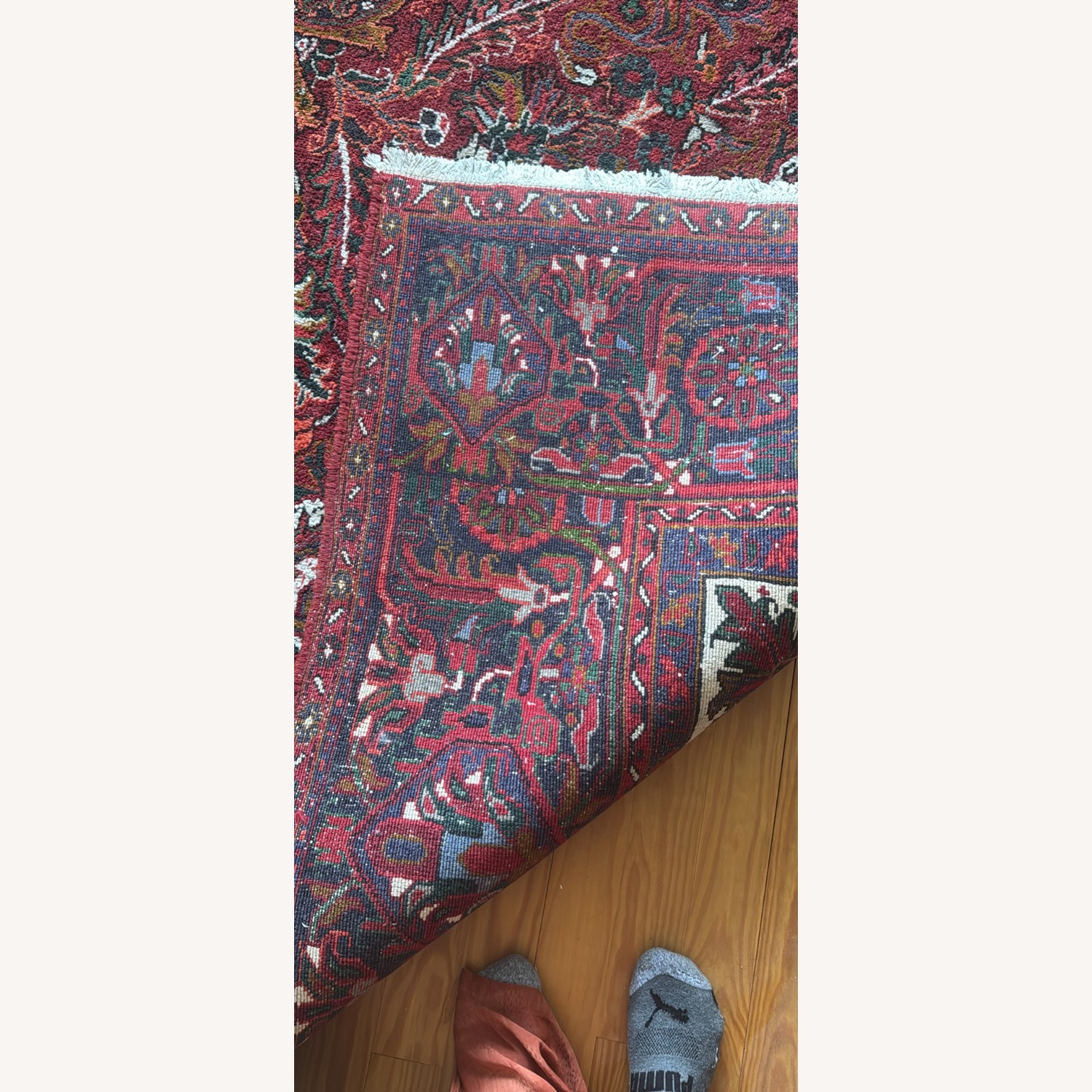 Vintage/Antique Red Area Rug 12' x 15' - image-4