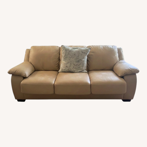 Used Leather Sleeper Sofa- for sale on AptDeco