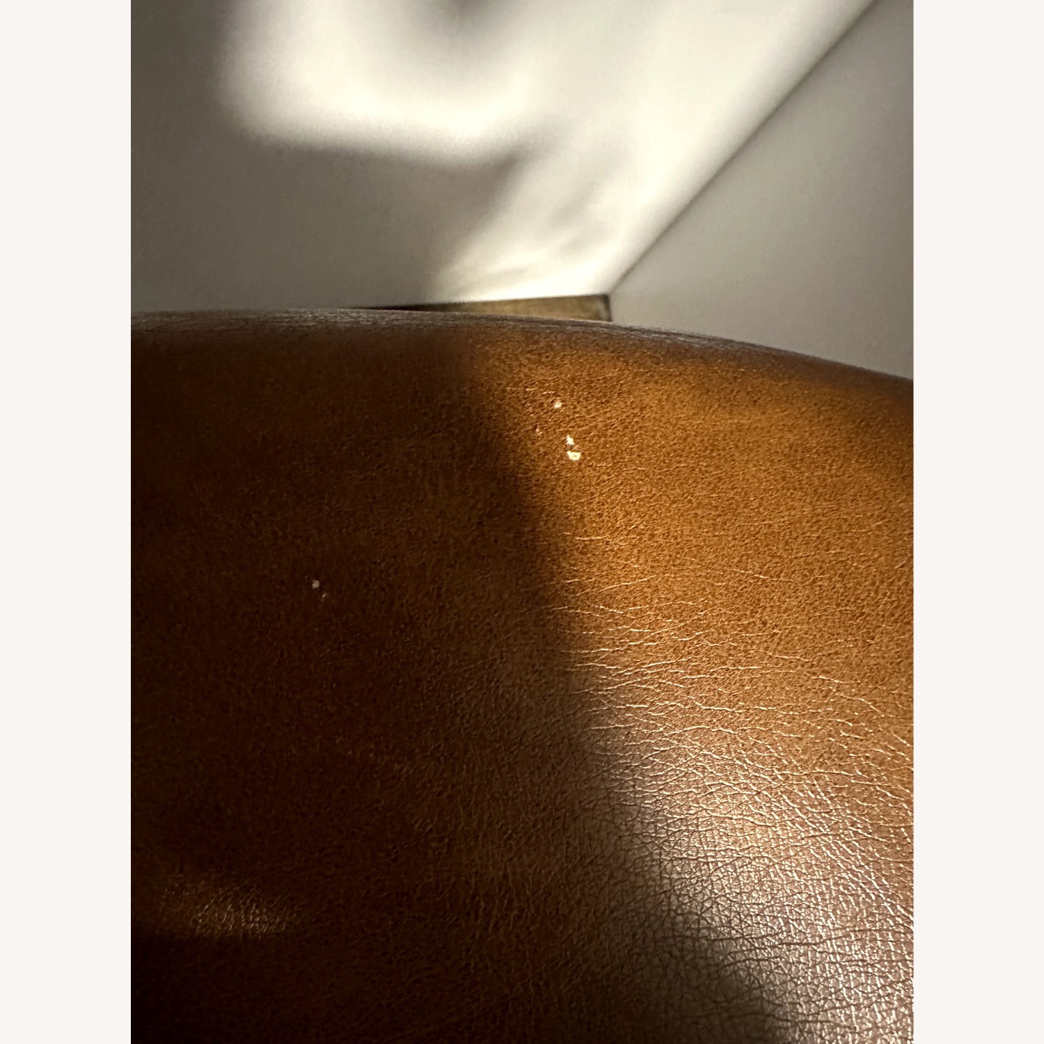 AllModern Embrey Light Brown Leather Stools - image-5