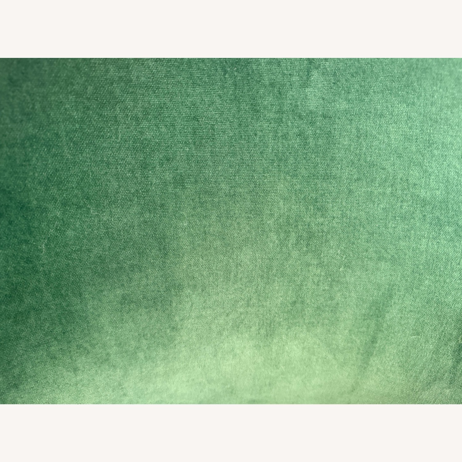 Anthropologie Velvet Elowen Chairs - image-2