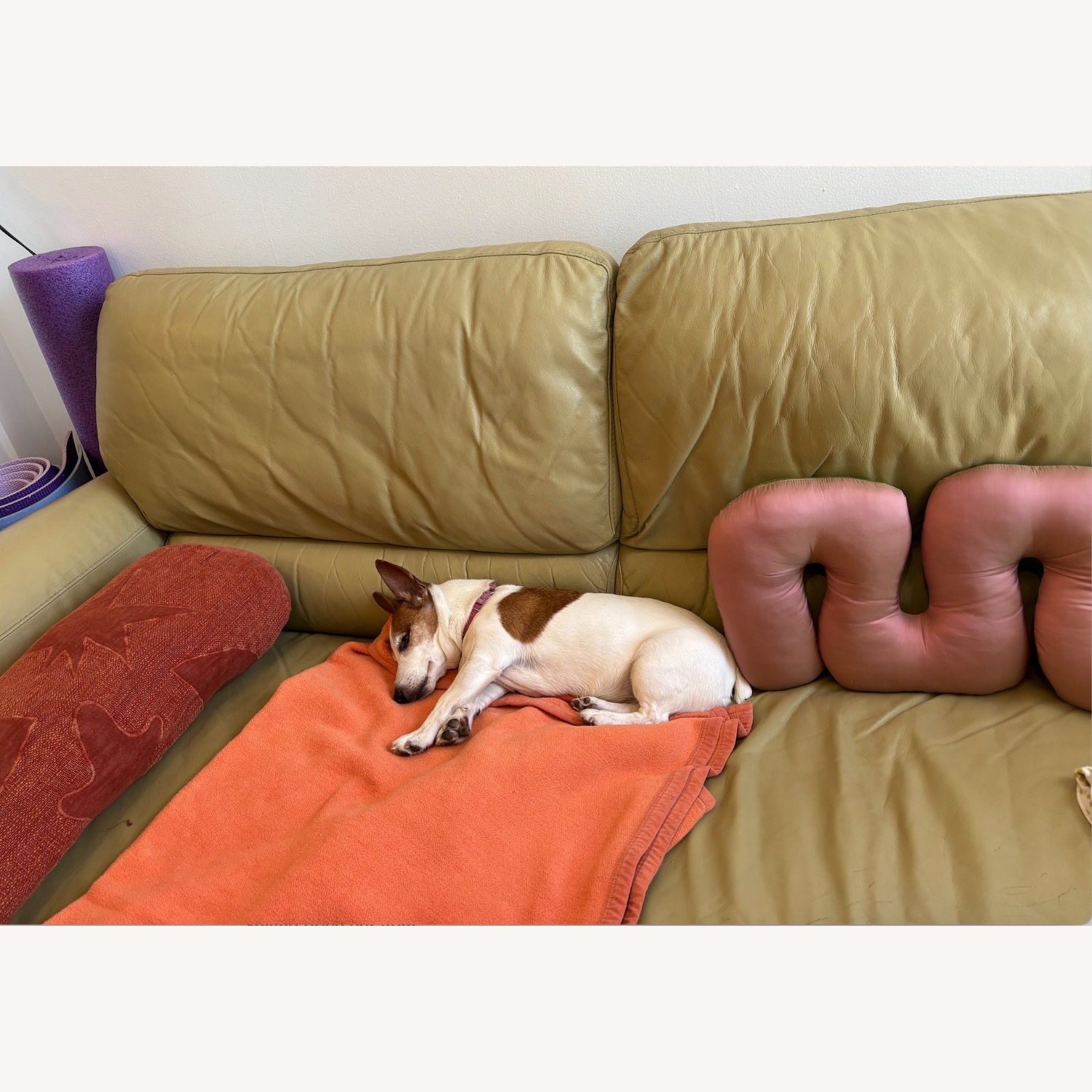 Vintage/Antique Finds Green Leather 2 Seater Sofa - image-3