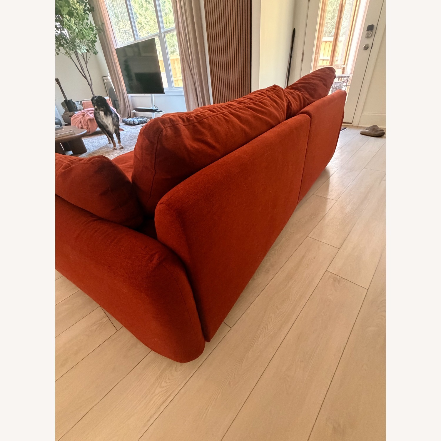 Floyd Terra Cotta Sink Down Sectional  - image-5