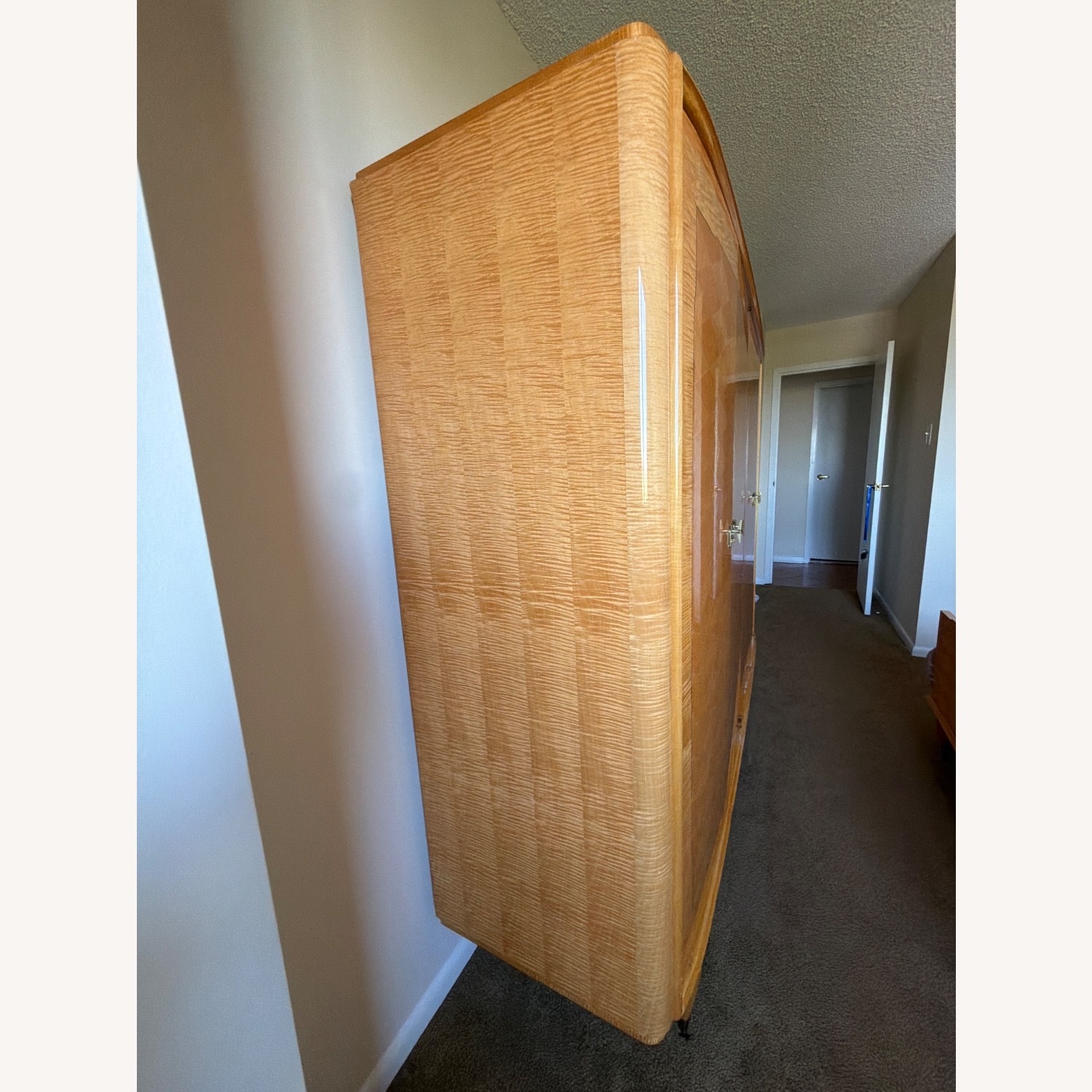 Vintage/Antique Finds Armoire - image-3