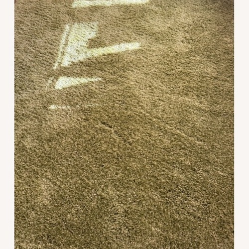 Used Vandoren Santa Monica Shag Rug 9' x 12' for sale on AptDeco