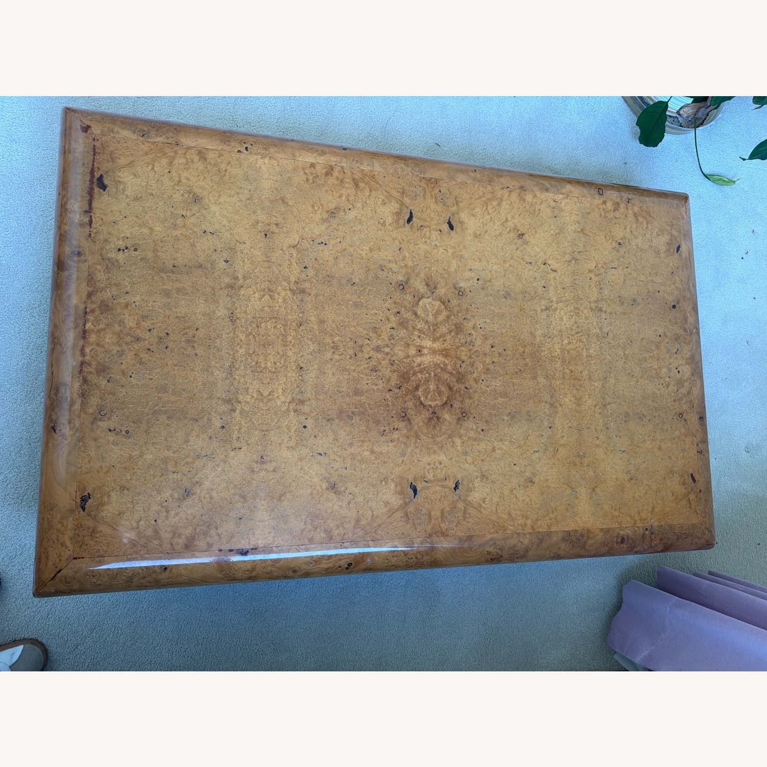 Vintage/Antique Finds Coffee Table - image-4