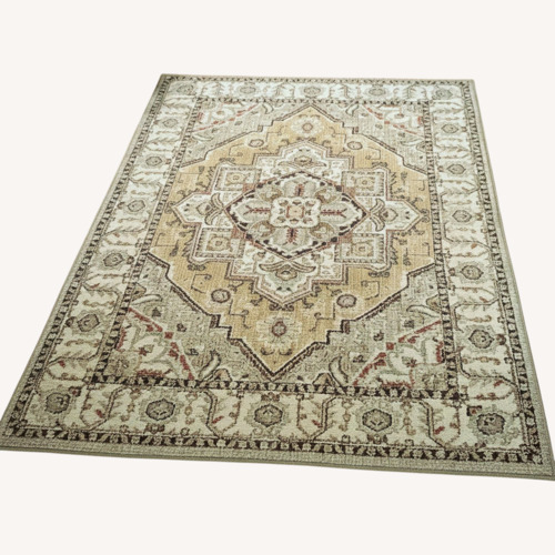 Used Area Rug 7’ x 5’ for sale on AptDeco