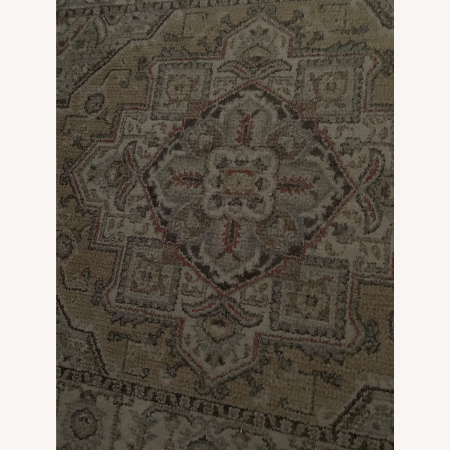 Area Rug 7’ x 5’ - image-2