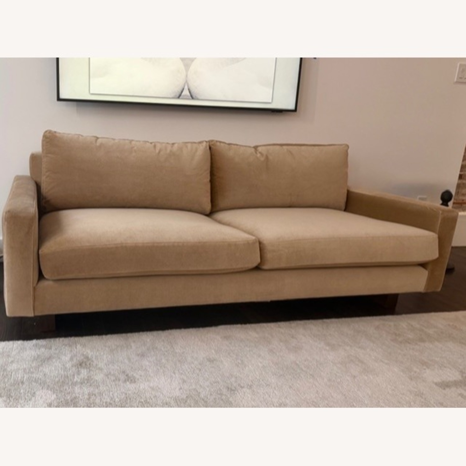Room & Board Pierson Light Tan Velvet Sofa - image-3