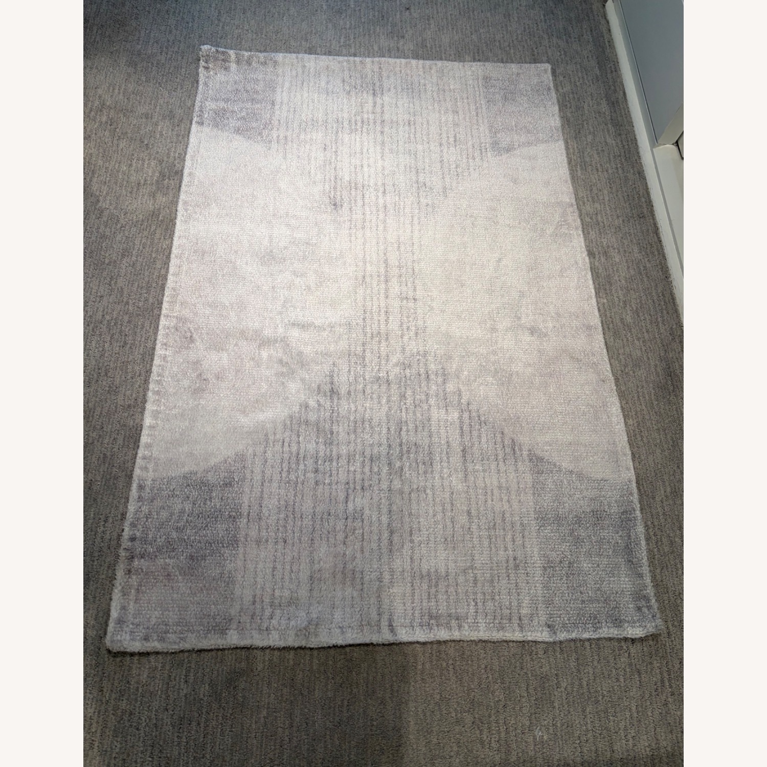 Light Gray Small Rug 3' x 4.5' - image-2