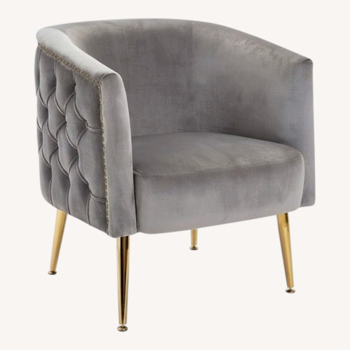 Used Light Gray Velvet Accent Chair for sale on AptDeco