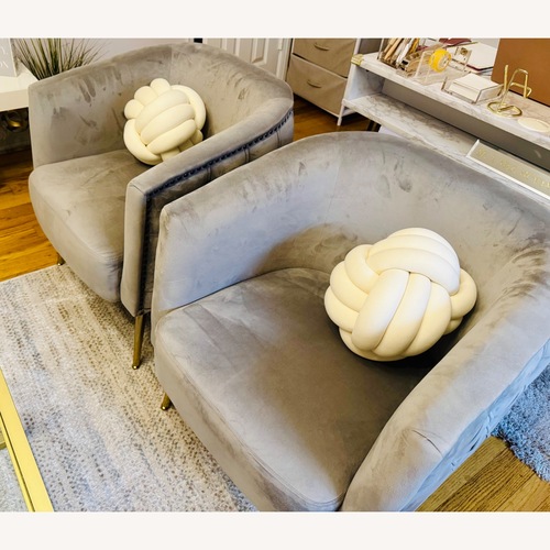Used Light Gray Velvet Accent Chair for sale on AptDeco